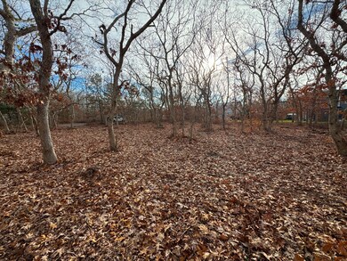 36 Boylston Dr unit 1.329, Edgartown, MA 02539 - photo 4