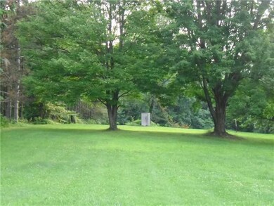 Yard/Garden.