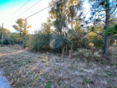 Lot view
