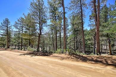 860 Spring Creek Dr, Divide, CO 80814 - photo 5