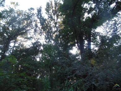 6125 Brixworth Dr, Tyler, TX 75703 - photo 6