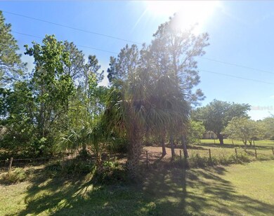 26300 Pheasant Run, Wesley Chapel, FL 33544 - photo 3