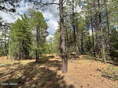 Ponderosa Pines