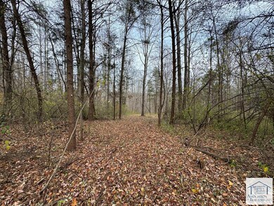 0 Pine Knoll Farms unit 145572, Stuart, VA 24171 - photo 3