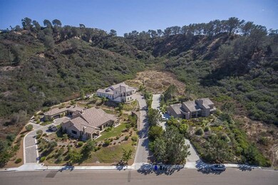 Aerial View of Neighbors