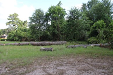 218 Dogwood Trail, Magnolia, TX 77354 - photo 3