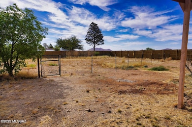 back yard