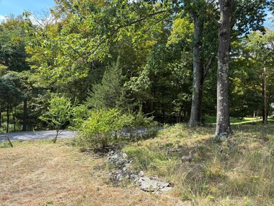 42 E Pond Lilly Rd, Ancram, NY 12502 - photo 6