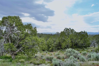 Lot 8 Road K 3, Cortez, CO 81321 - photo 4