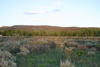 IMG_8558