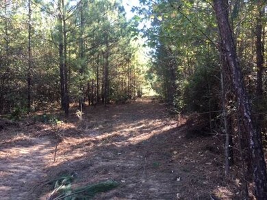 336 Gumm Cemetery Rd NE, Milledgeville, GA 31061 - photo 2