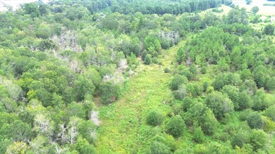 0 State Hwy 7 W unit 21439487, Crockett, TX 75835 - photo 6