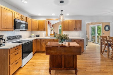 16 Gray Squirrel Cir, Medway, MA 02053 - photo 6