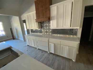 4044 Overlook Way, Springtown, TX 76082 - photo 5