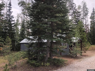 32 A Forest Service, Saratoga, WY 82331 - photo 7