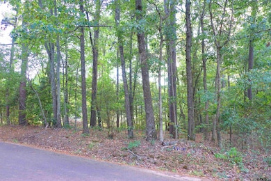 TBD Bob o Link Rd, Gilmer, TX 75645 - photo 5