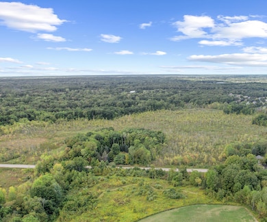 21433 N Dixboro Rd, South Lyon, MI 48178 - photo 5