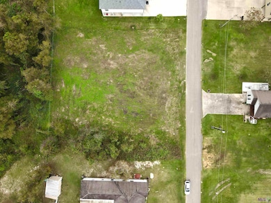 15892 Cypress Point Ln, French Settlement, LA 70733 - photo 3