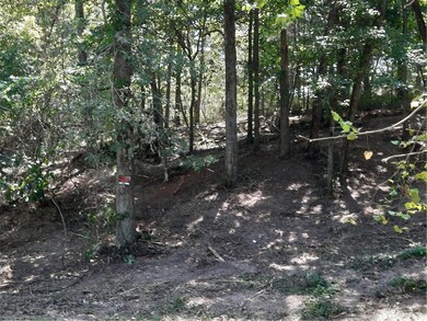 Lot 7 and 8 Harris Rd, Lowell, AR 72745 - photo 4