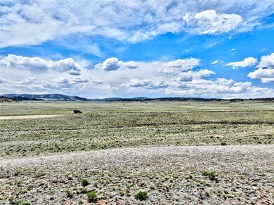 656 Ute Trace, Hartsel, CO 80449 - photo 4