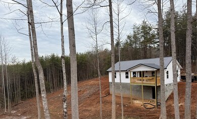 672 Piney Grove Rd, Franklin, NC 28734 - photo 2