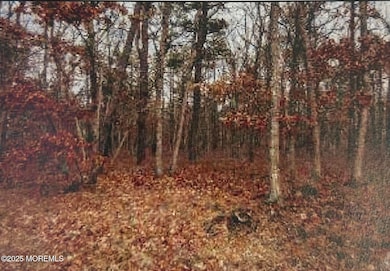 0 Elsiah St - Lot for Sale