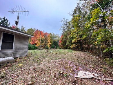 2471 W 12 Mile Rd, Bitely, MI 49309 - photo 5