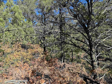 0 Wilde St, Timberon, NM 88350 - photo 2