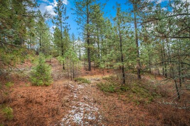 4425 Stonebrook Way, Springdale, WA 99173 - photo 6