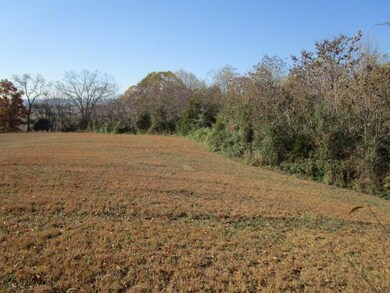 0 Kenneth Roach Ln unit 1052709, Rutledge, TN 37861 - photo 5