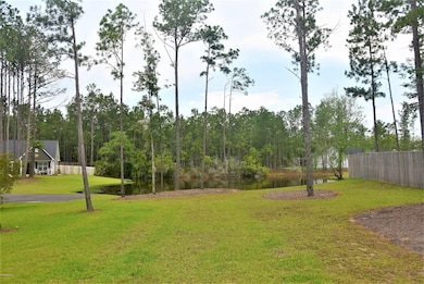 Pond View