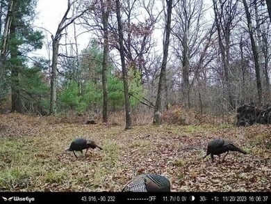 W9395 County Road C, Orange, WI 54618 - photo 4