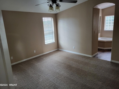 7046 Stagecoach Pass, Show Low, AZ 85901 - photo 6