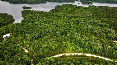 Aerial view of a large body of water and a heavily wooded area