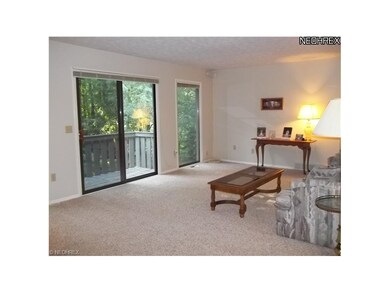 Huge living room with all new carpeting...in neutral color.