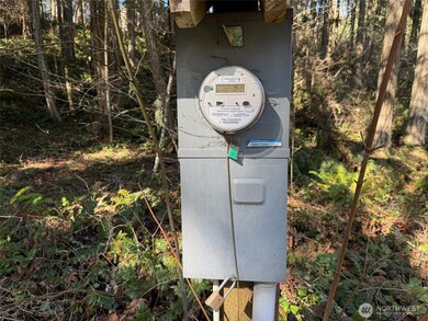 17820 Pondside Ct SE, Yelm, WA 98597 - photo 4