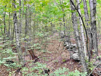 Lot 1 and 6 Grace and Granite Hill Rd, Wilmot, NH 03287 - photo 5