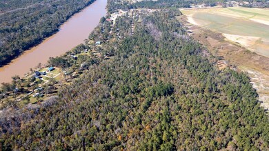 0 Gray's Landing Rd unit 23834, Uvalda, GA 30473 - photo 2