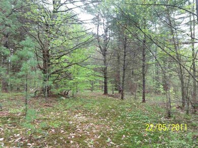 0 Granite Rd unit 106 4769133, Effingham, NH 03882 - photo 3