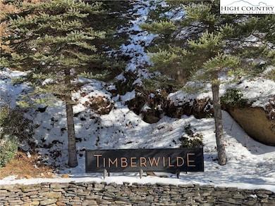 TBD (13 & 14) Timberwilde Dr, Laurel Springs, NC 28644 - photo 3
