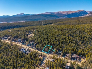 431 N Aspen St unit 5, Alma, CO 80420 - photo 2