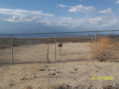 64806 Chollita Rd, Joshua Tree, CA 92252 - photo 3