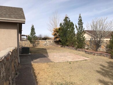 14232 Desert Mesquite Dr, Horizon City, TX 79928 - photo 4