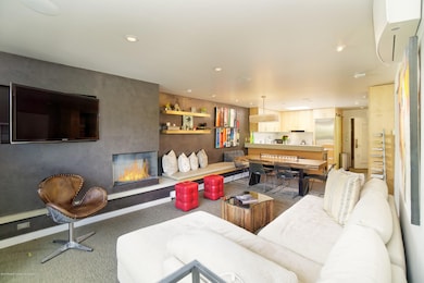 205 E Durant Ave unit 3H, Aspen, CO 81611 - photo 3