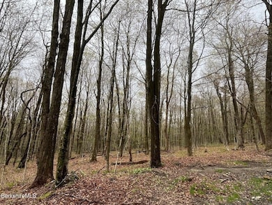 0 Manley Phelps Rd unit 73369553, Monroe, MA 01350 - photo 6