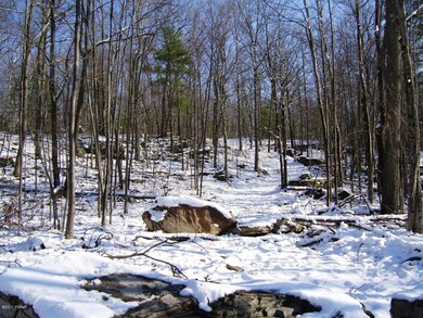 110 Blue Heron Way, Hawley, PA 18428 - photo 3