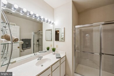 11333 Westbrook Mill Ln unit 301, Fairfax, VA 22030 - photo 5