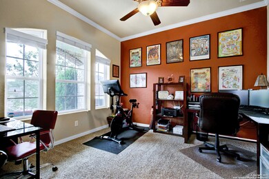 25522 Sioux Springs, San Antonio, TX 78261 - photo 3