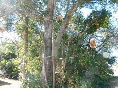 0 SE 135th Ln unit MFRTB8455385, Belleview, FL 34420 - photo 4