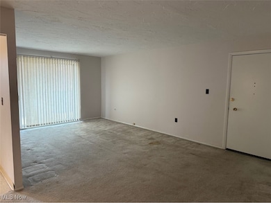 12029 Clifton Blvd, Lakewood, OH 44107 - photo 5